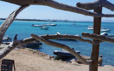 C&rsquo;est l&rsquo;été