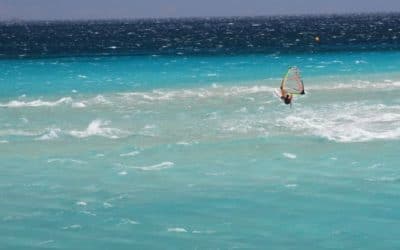 Est ce que tu viens pour les vacances ?