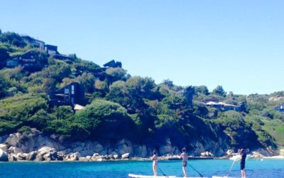 Stand Up en downwind….on en redemande