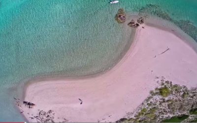 Tu veux voir Pianta d’en haut ?
